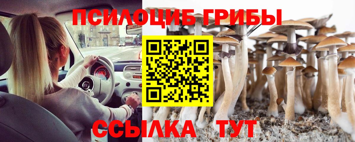 Галлюциногенные грибы мухоморы Бугульма