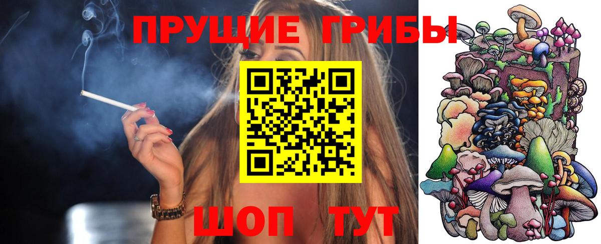 Галлюциногенные грибы Cubensis  Вход с VPN  Бугульма  Псилоцибиновые грибы прущие грибы 